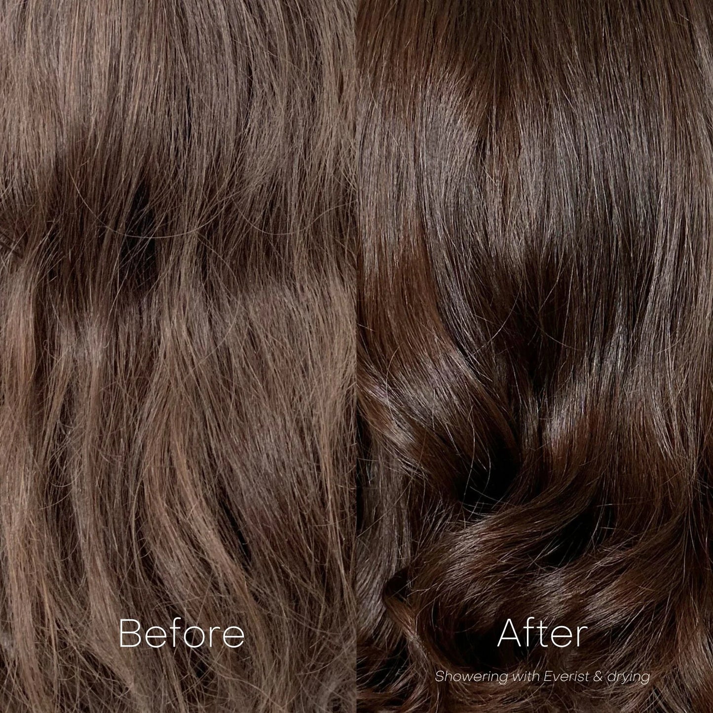 The Deep Conditioning Concentrate | Everist