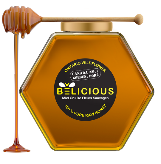 Premium Honey Jars with Dipper | Belicious