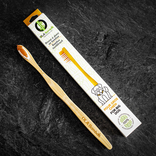 The OLA Bamboo toothbrush for dogs is an eco-friendly choice that’s also a good choice for your pet’s dental health, available at Replenish General Store.