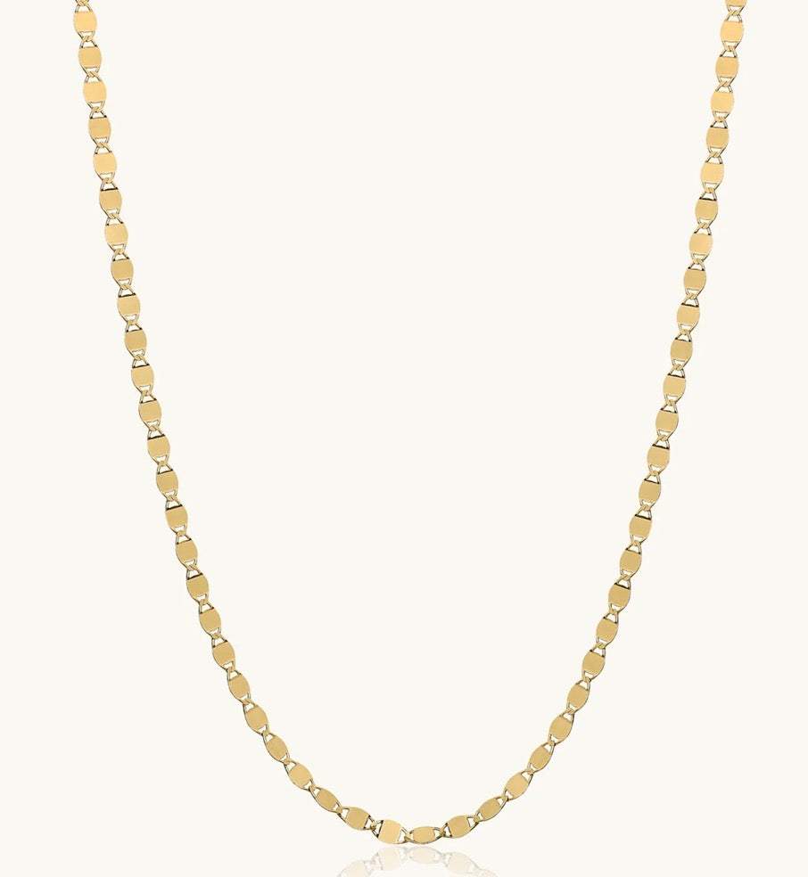 Valentino Necklace (14"+1) | 10k Solid Gold|OLAEDA