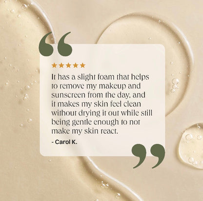 Wash Gel Cleanser by Wildcraft | Purifying Daily Facial Cleanser