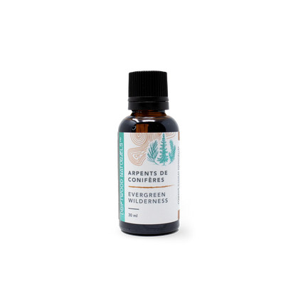 Synergy Pure Essential Oils 30mL | Driftwood Naturals