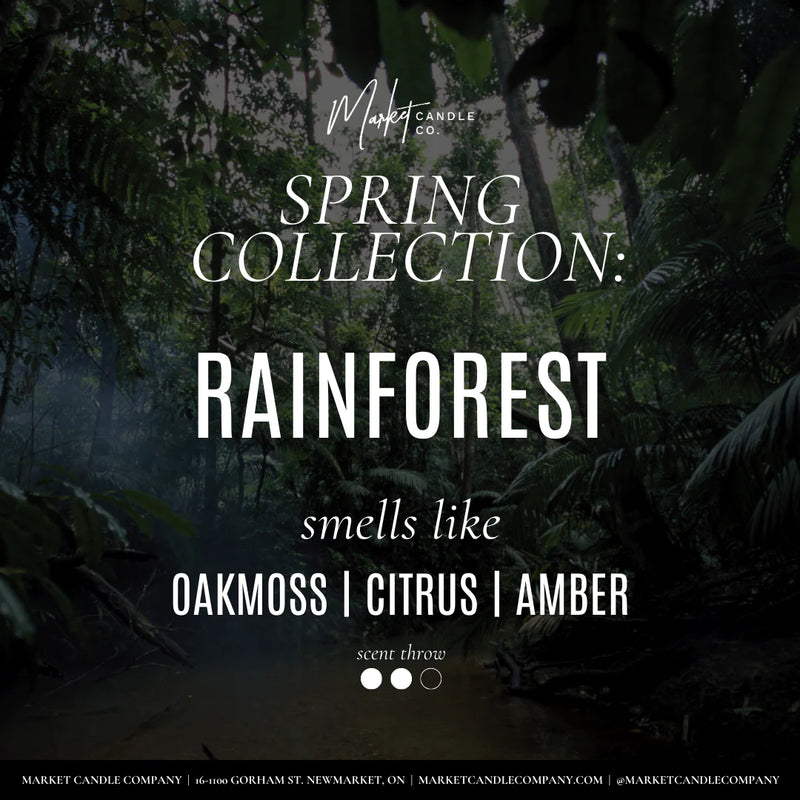 Rainforest Soy Candle | Market Candle Company | Spring 2024