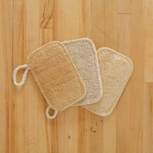 Loofah Sponge | Pure