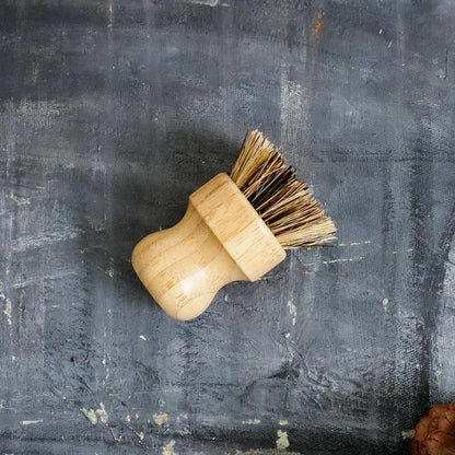 Sisal & Palm Pot Scrubber Brush | Plantish
