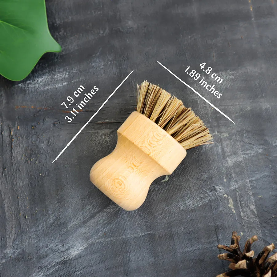 Sisal & Palm Pot Scrubber Brush | Plantish