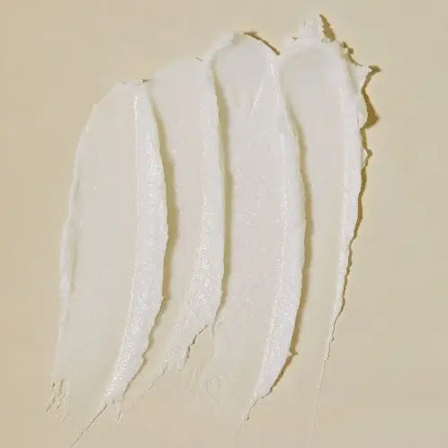 The Shampoo Concentrate Tube | Everist