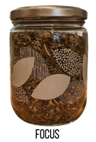 Pre-Filled Focus Wellness Tea | Pluck Tea