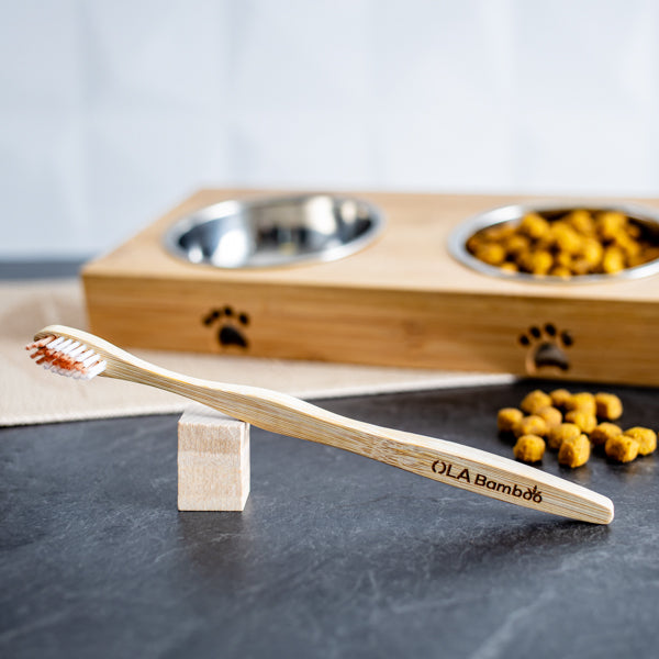 The OLA Bamboo toothbrush for dogs is an eco-friendly choice that’s also a good choice for your pet’s dental health, available at Replenish General Store. 
