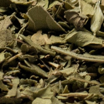 Organic Harvest Mint | Pluck Tea