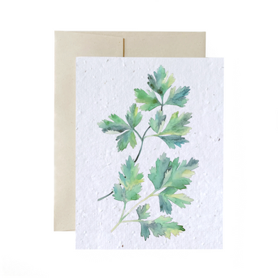 Parsley Plantable Cards | Flowerink