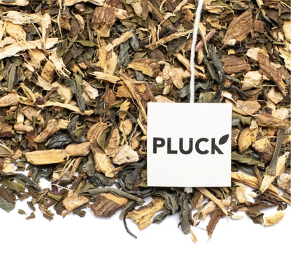 Pre-Filled Focus Wellness Tea | Pluck Tea