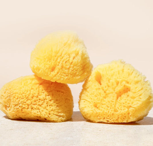 Silk Sea Sponge | Gentle Exfoliator | Wildcraft