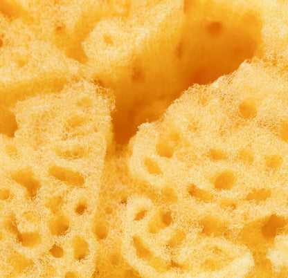 Silk Sea Sponge | Gentle Exfoliator | Wildcraft