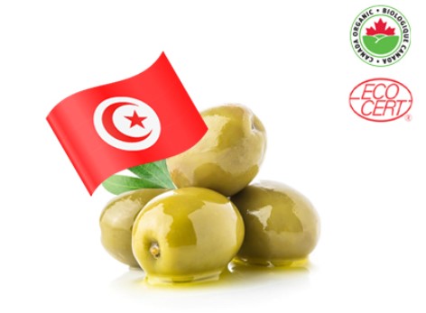 Pre-filled Tunisian Organic Extra Virgin Olive Oil | Olive Pressée