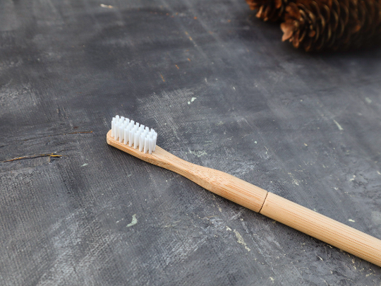 Refillable Bamboo Toothbrush | Plantish