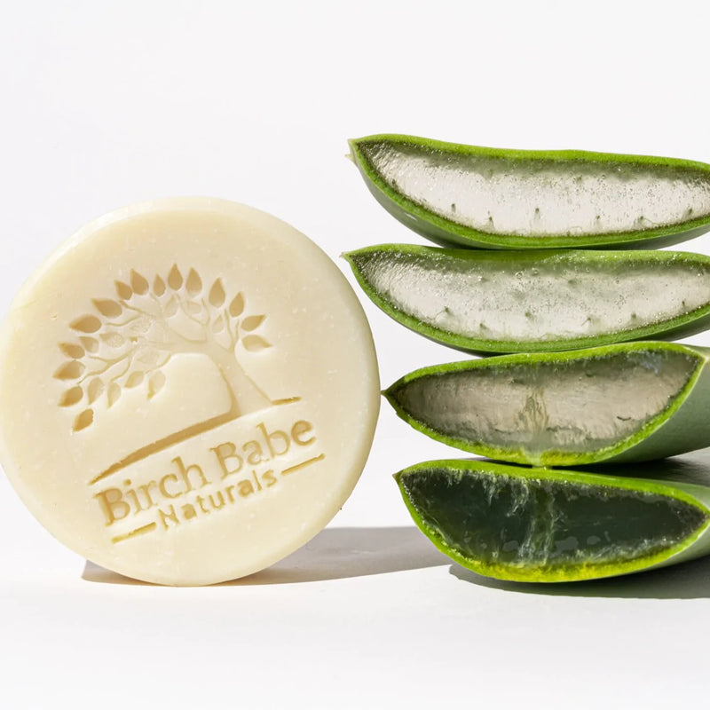 Aloe Vera & Seaweed Shampoo & Body Bar | Birch Babe Naturals