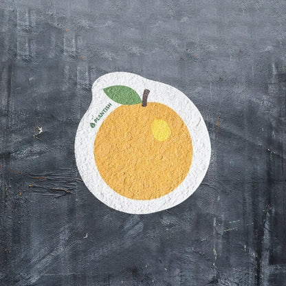 Pop-up Sponges |  Plantish